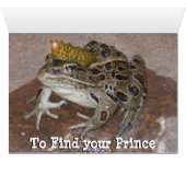 You Gotta kiss a few Frogs (Inside Horizontal (Bottom))