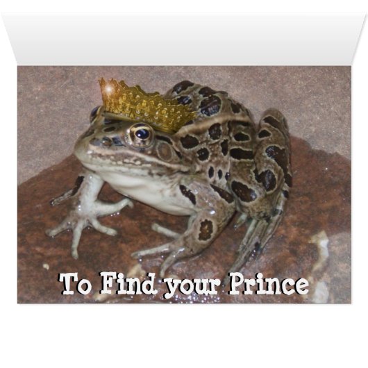 You Gotta kiss a few Frogs (Inside Horizontal (Bottom))