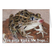 You Gotta kiss a few Frogs (Front Horizontal)
