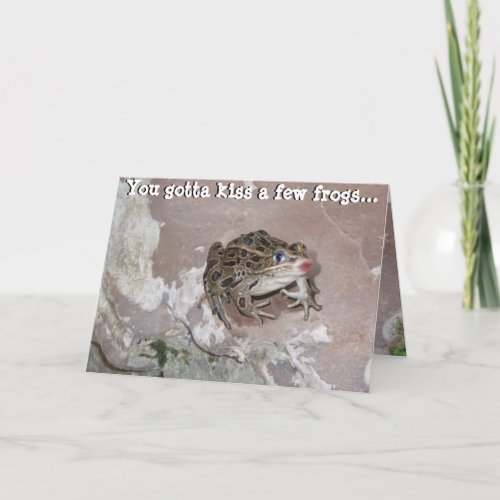 You Gotta kiss a few Frogs Holiday Card