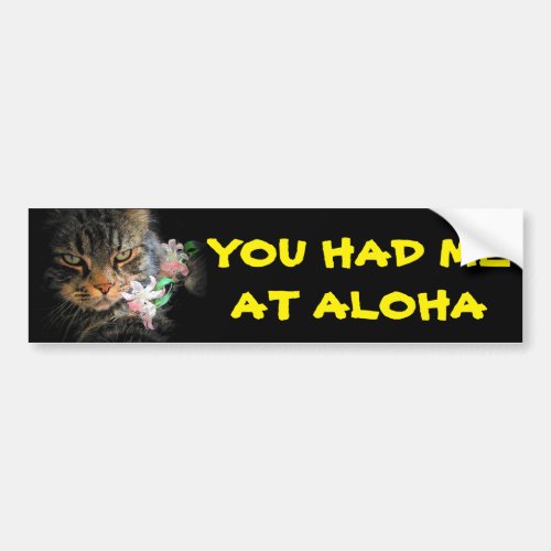 You Had Me At Aloha Kitty with Lei Bumper Sticker