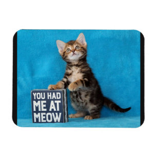 You Had Me at Meow Bengal Kitten Magnet