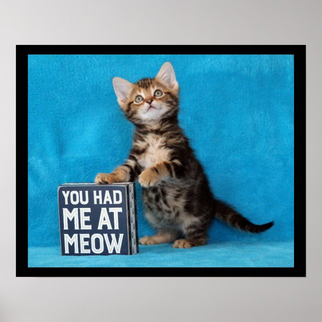 You Had Me at Meow Bengal Kitten Poster (Front)
