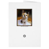 You Had Me At Meow Calico Kitten (Back)