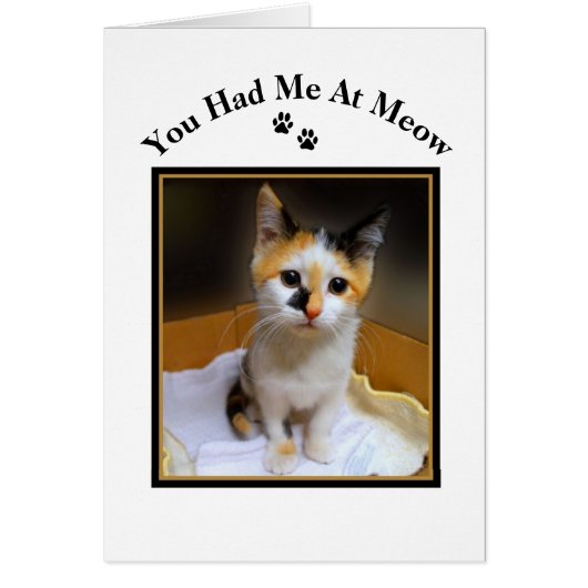 You Had Me At Meow Calico Kitten (Front)