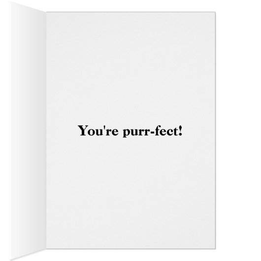 You Had Me At Meow Calico Kitten (Inside (Right))