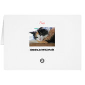 You had me at Meow Card (Back Horizontal)