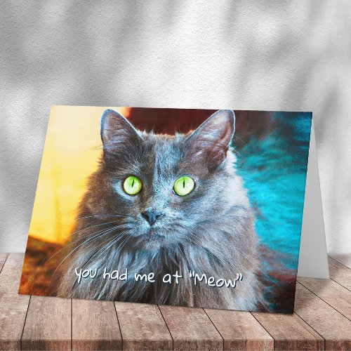 You Had Me at Meow Cute Fluffy Gray Cat Adorable Card