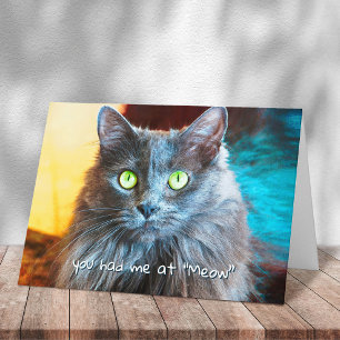 You Had Me at Meow Cute Gray Cat Photography Bold Card