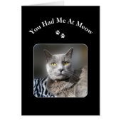 You Had Me At Meow Russian Blue Cat (Front)