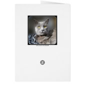 You Had Me At Meow Russian Blue Cat (Back)