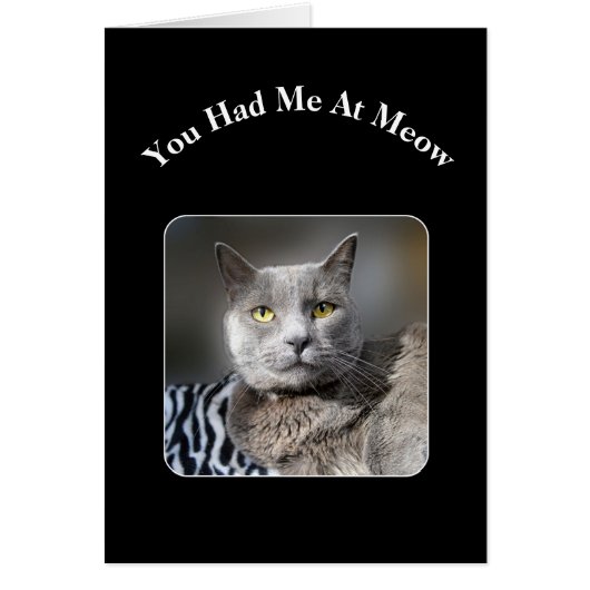 You Had Me At Meow Russian Blue Cat (Front)