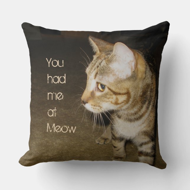 You had me at Meow Throw Pillow (Front)