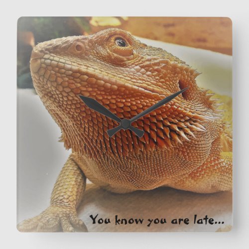 You know you are late Funny Orange Bearded Dragon Square Wall Clock