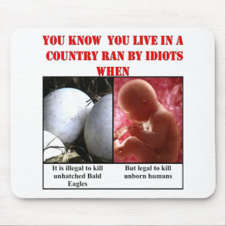 YOU KNOW YOU LIVE IN A COUNTRY RAN BY IDIOTS WHEN MOUSE PAD