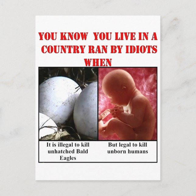 YOU KNOW YOU LIVE IN A COUNTRY RAN BY IDIOTS WHEN POSTCARD (Front)