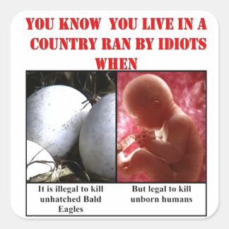 YOU KNOW YOU LIVE IN A COUNTRY RAN BY IDIOTS WHEN SQUARE STICKER
