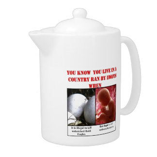 YOU KNOW YOU LIVE IN A COUNTRY RAN BY IDIOTS WHEN TEAPOT
