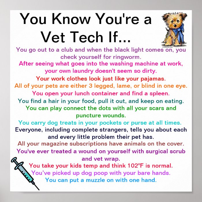 You Know You're a Vet Tech IfPosters
