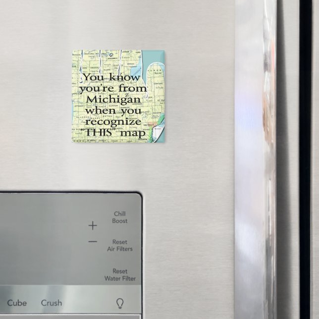 You Know You're From Michigan When You Recognize Magnet (In Situ (Fridge))