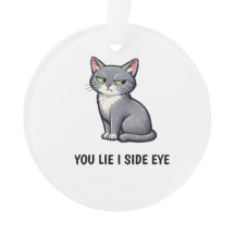 You Lie I Side Eye Funny Grey Cat Quote