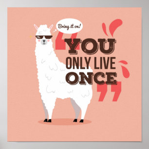 You Live Only Once Llama Poster