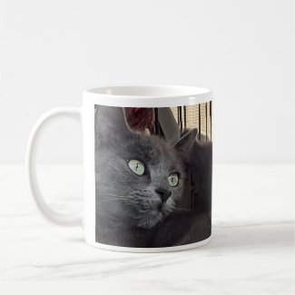 You’ll Always Be My Baby. Cat Coffee Mug