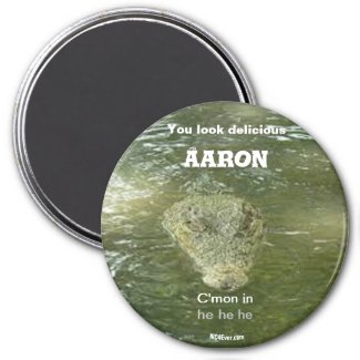 You look delicious Aaron fun magnet