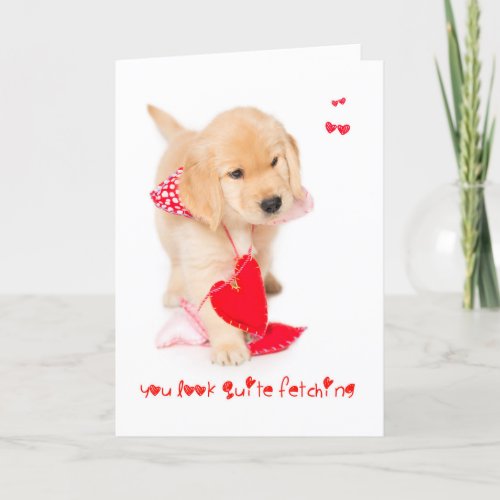 You look Fetching Puppy Valentine Holiday Card