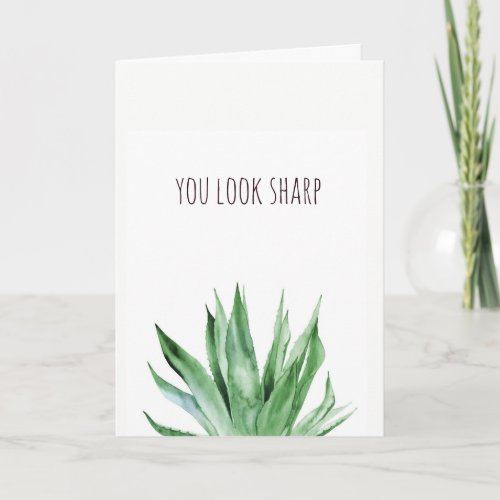 You look sharp plant pun Valentines card