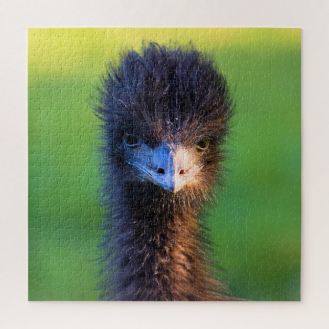 You Lookin' at Me?  -  Emu Jigsaw Puzzle - 20x20 (Vertical)