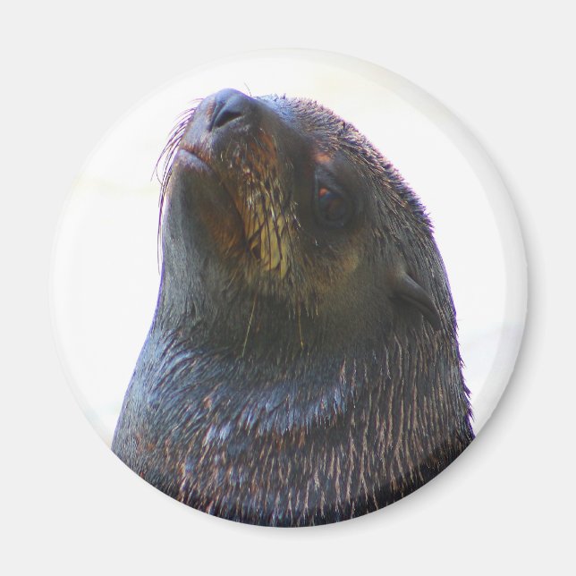 You looking at me ! magnet (Front)