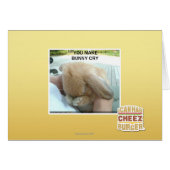 You make bunny cry (Front Horizontal)