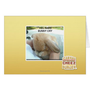 You make bunny cry cards