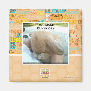 You make bunny cry magnet