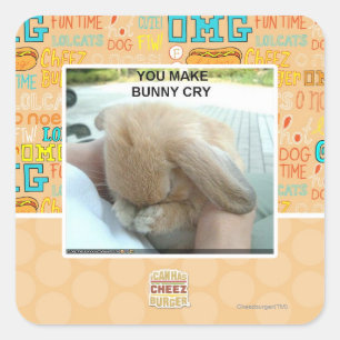 You make bunny cry square sticker