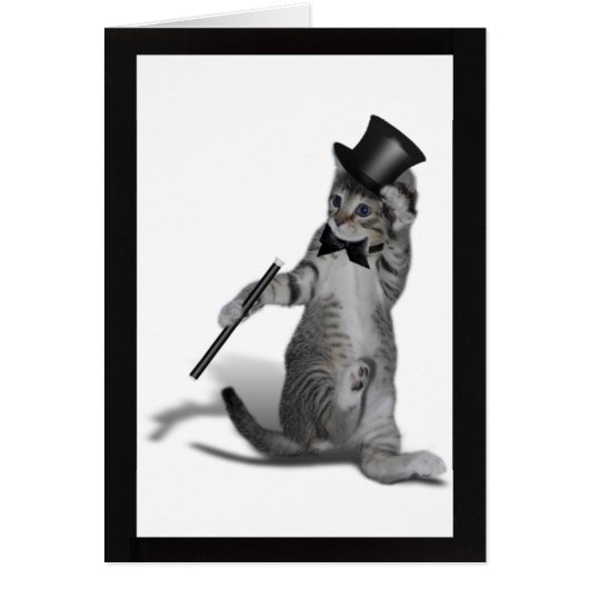 You make me feel like Dancing! Tap Dancing Cat Cards (Front)