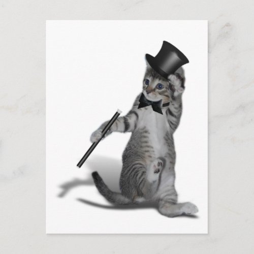 You make me feel like Dancing Tap Dancing Cat Postcard