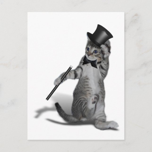 You make me feel like Dancing! Tap Dancing Cat Postcard (Front)