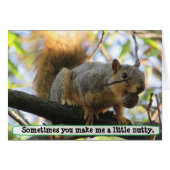 You make me Nutty, Squirrel Humor Card (Front Horizontal)