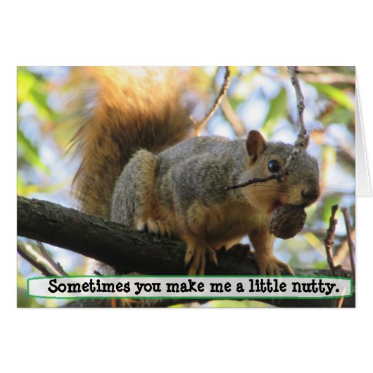 You make me Nutty, Squirrel Humor Card (Front Horizontal)
