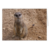 You make me smile (Front Horizontal)