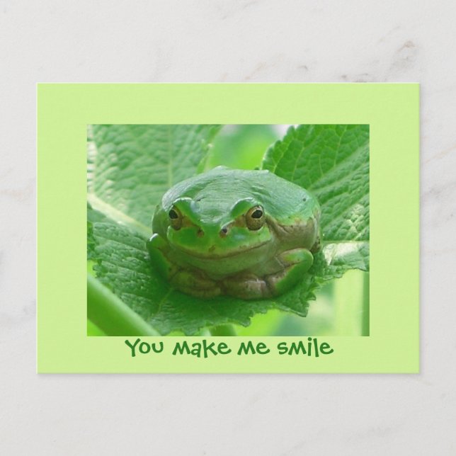You make me smile - green frog postcard (Front)