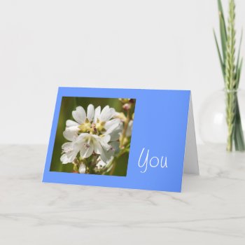 You Make Spring Jealous Romantic Greeting Card by bluerabbit at Zazzle