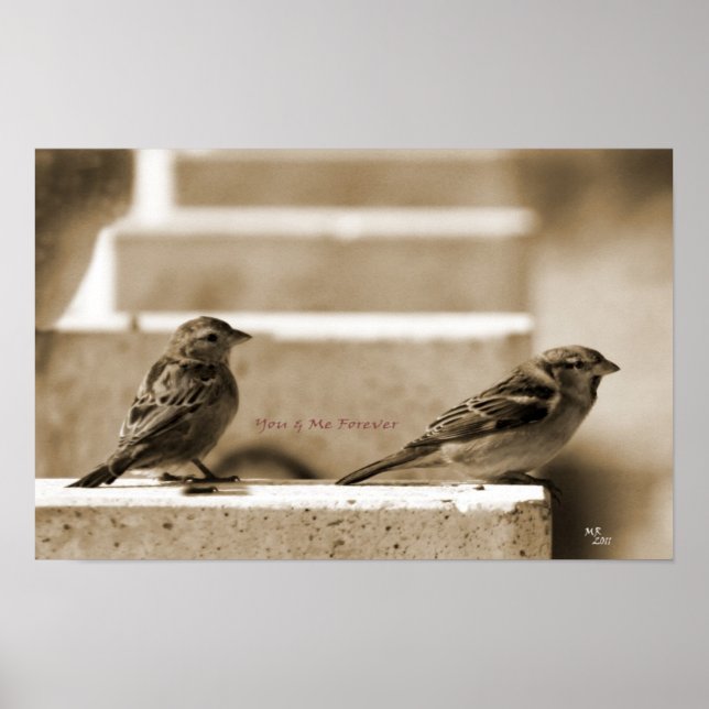 You & Me For Ever Poster (Front)