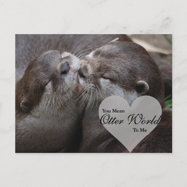 You Mean Otter World To Me Otters Love Kissing Postcard (Front)