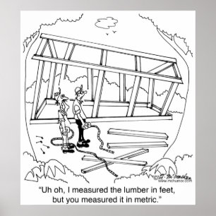 You Measured it In Meters & I In Feet Poster