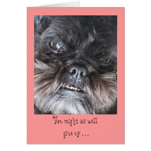 You might as wellgive up . . . card (Front)