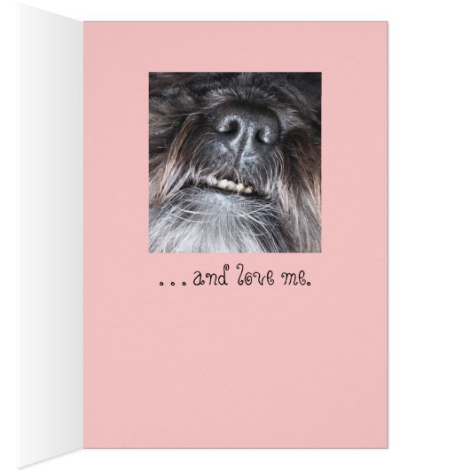 You might as wellgive up . . . card (Inside (Right))