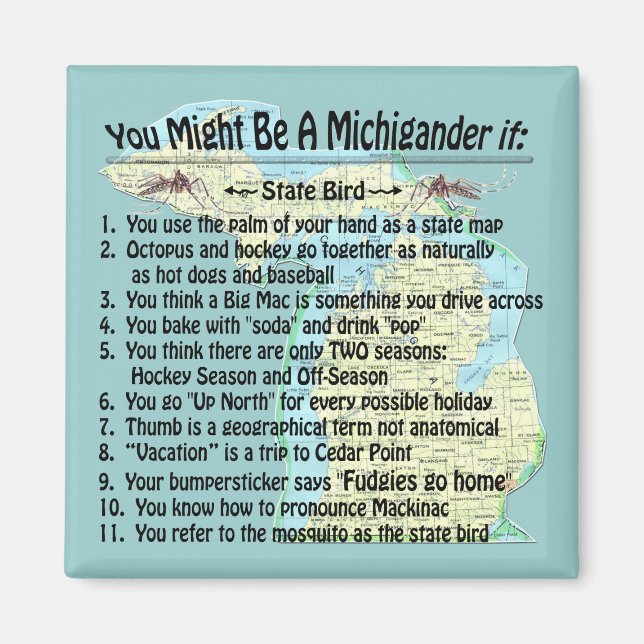 You Might Be A Michigander If: Magnet (Front)
